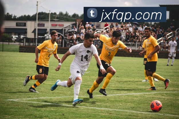 吉祥坊官网平台生态图